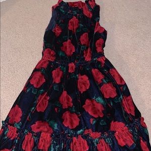 Janie and Jack velvet floral dress